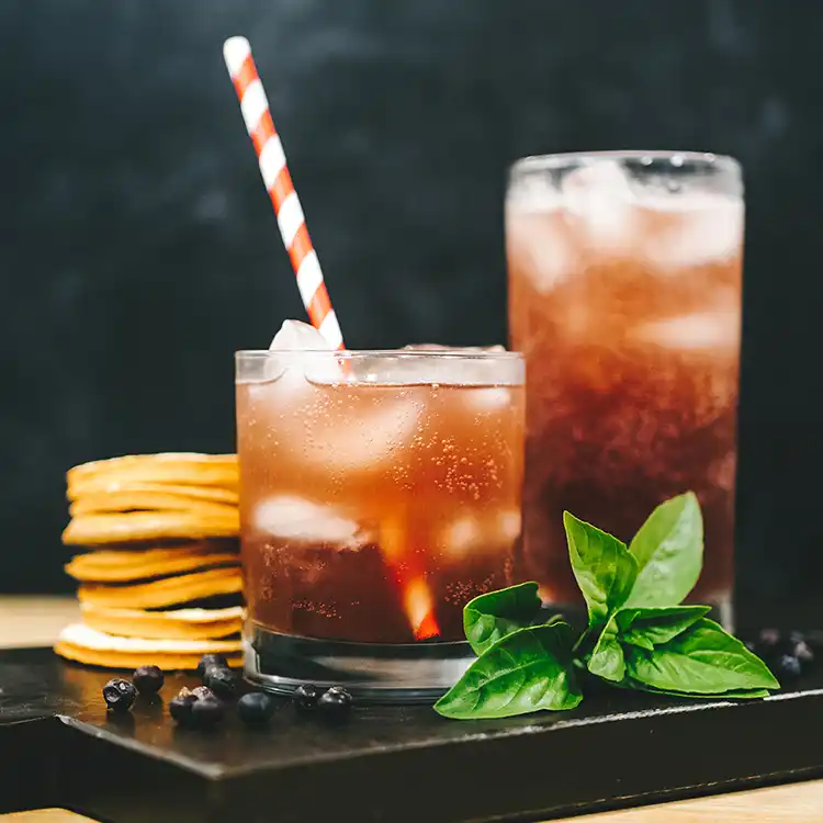 Sandpoint Soda Company Elderberry - fermented probiotic soda in glass bottle