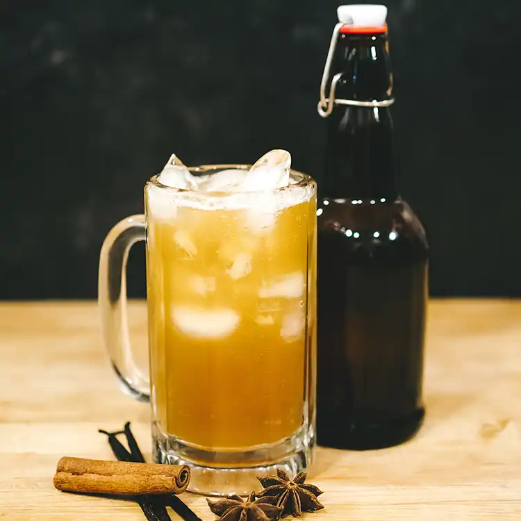 Sandpoint Soda Company Root Beer - fermented probiotic soda in glass bottle